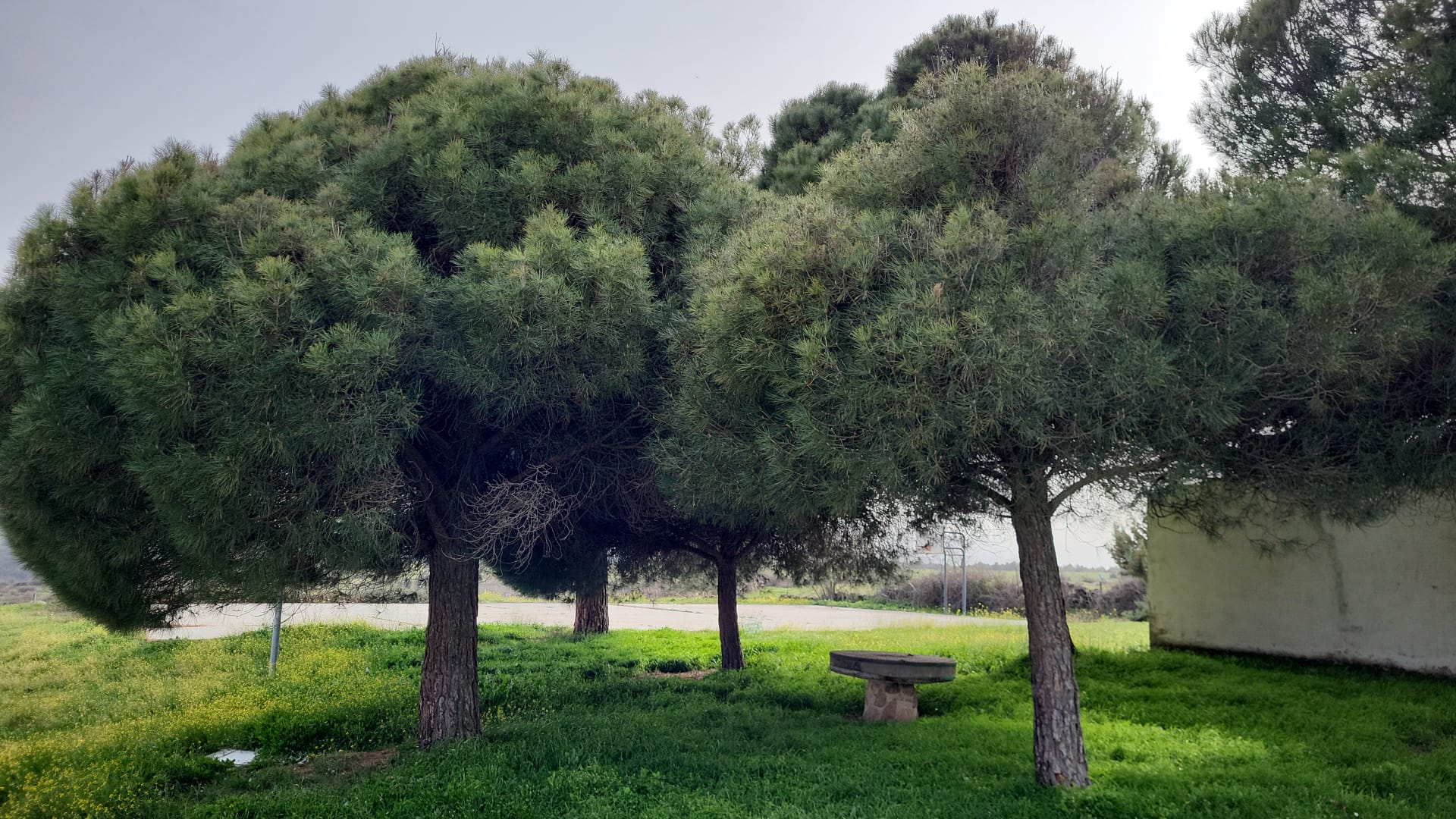 Albergue multiaventura en Gandullas Madrid Sierra 6