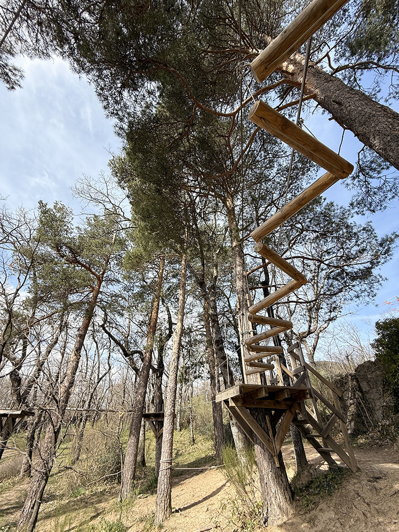 Multiaventura en Cercedilla 2