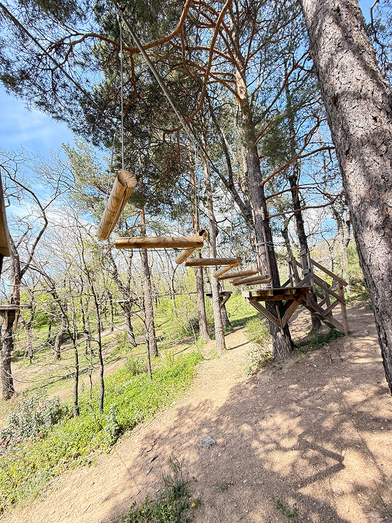 Multiaventura en Cercedilla 4