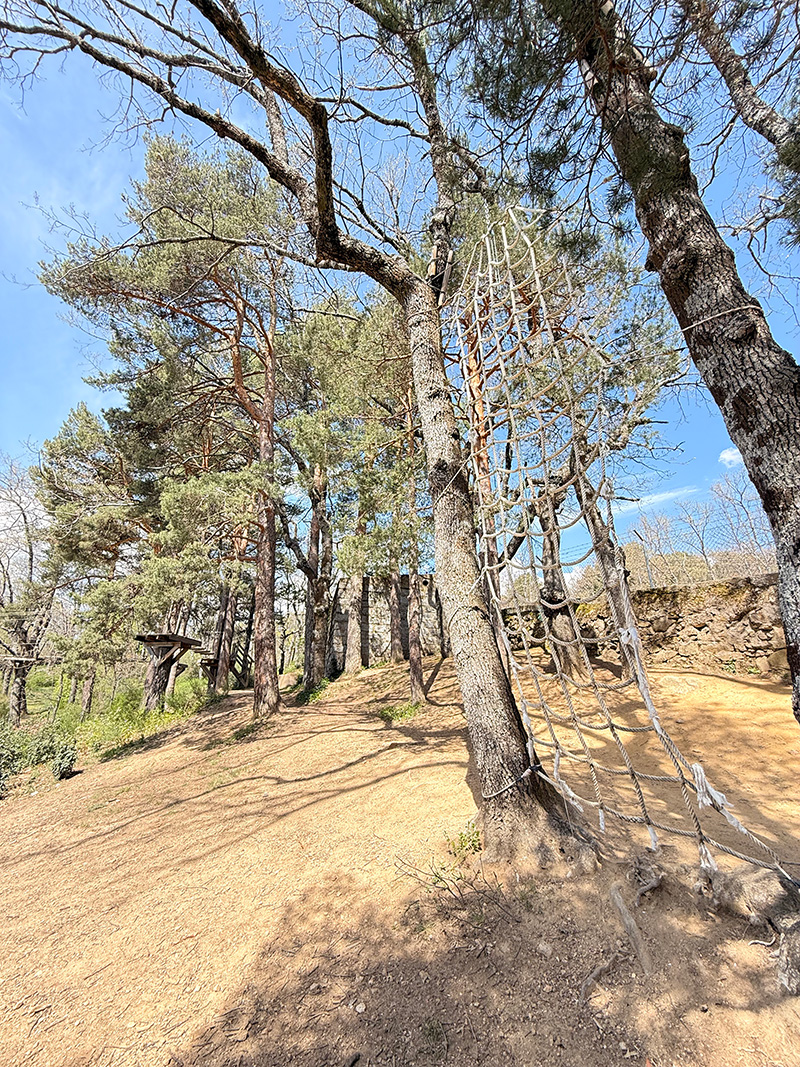 Multiaventura en Cercedilla 5