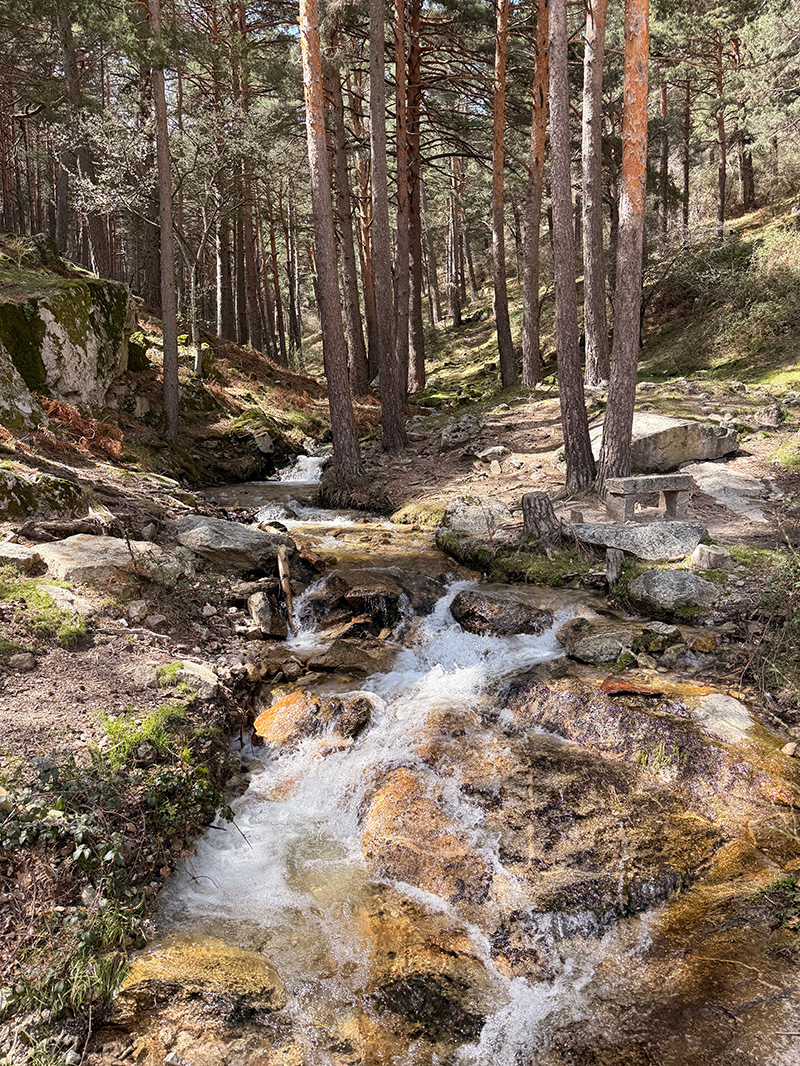 Multiaventura en Cercedilla 6