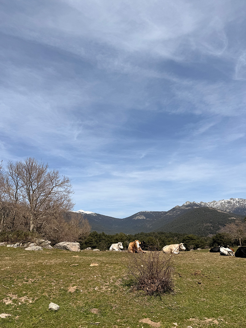 Sierra de Cercedilla 2