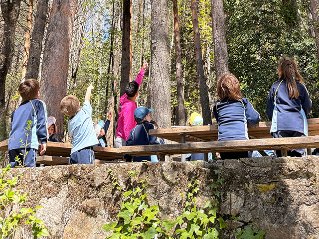 albergue-miraflores-de-la-sierra-multiaventura-madrid